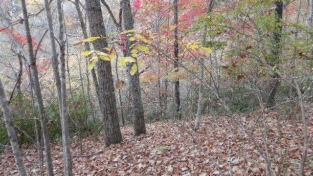 0 Drew Court, Smithville, TN 37166