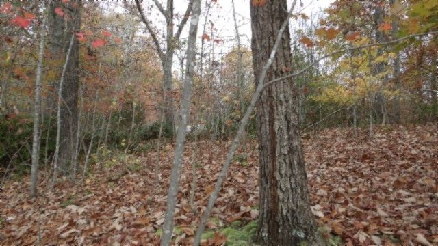 0 Drew Court, Smithville, TN 37166