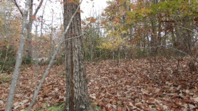 0 Drew Court, Smithville, TN 37166