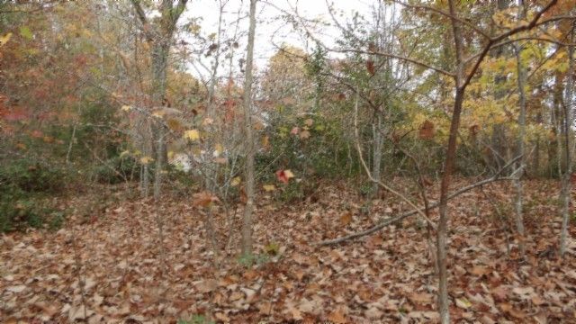 0 Drew Court, Smithville, TN 37166