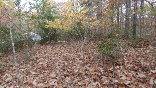 0 Drew Court, Smithville, TN 37166