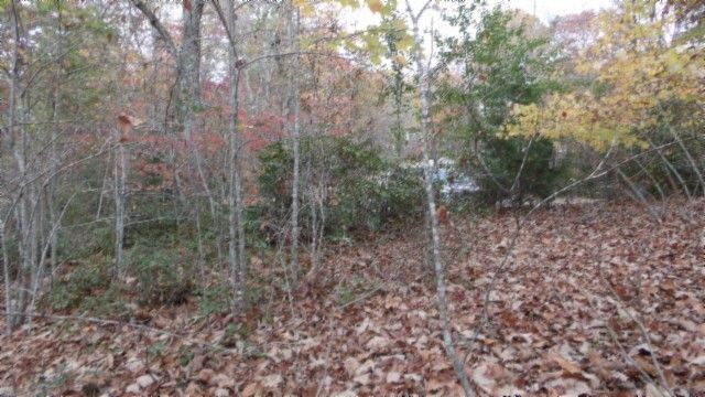 0 Drew Court, Smithville, TN 37166