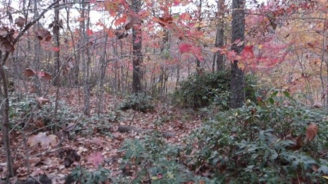 0 Drew Court, Smithville, TN 37166