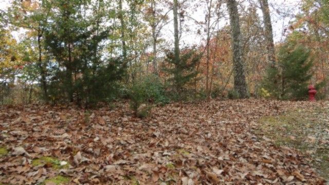 0 Drew Court, Smithville, TN 37166