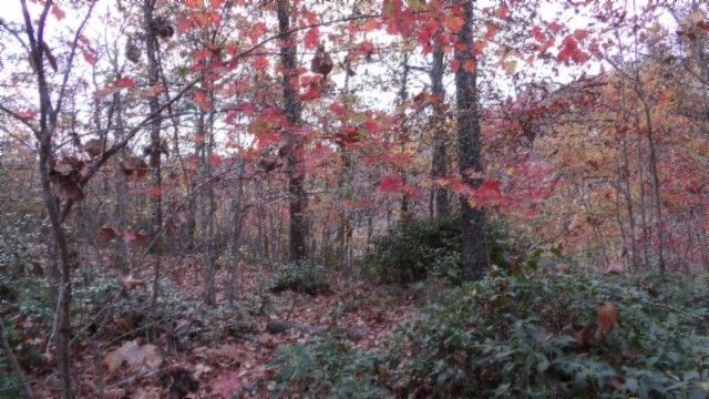 0 Drew Court, Smithville, TN 37166