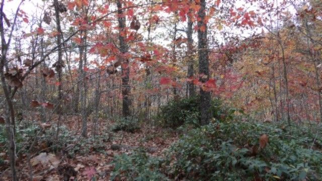 0 Drew Court, Smithville, TN 37166