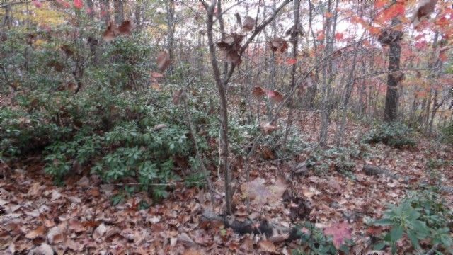 0 Drew Court, Smithville, TN 37166