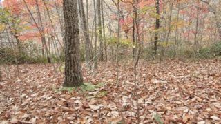 0 Drew Court, Smithville, TN 37166