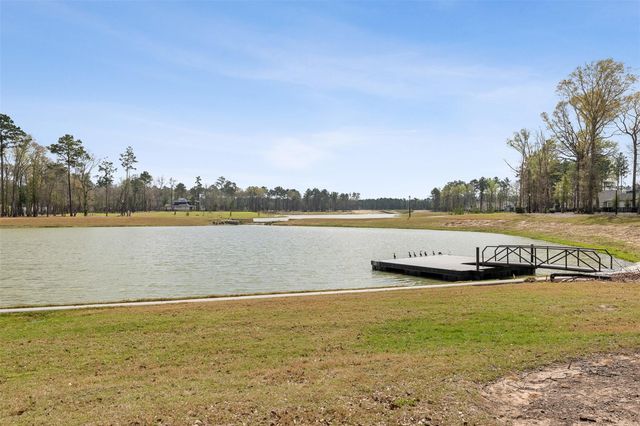 8022 Mckittrick Ridge Drive, Porter, TX 77365