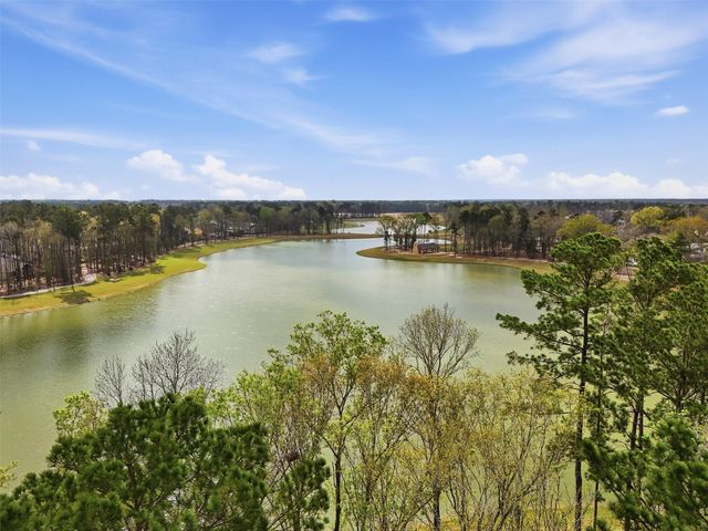 8022 Mckittrick Ridge Drive, Porter, TX 77365
