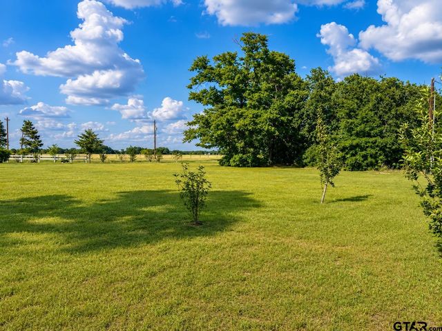 10038 County Road 313 E, Tyler, TX 75706