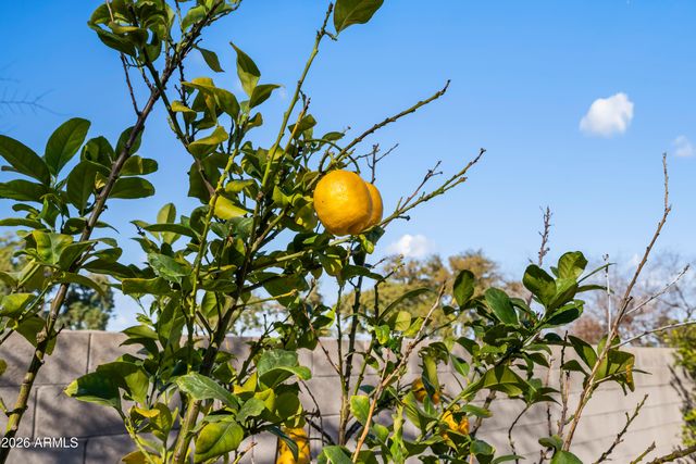 7414 N 88TH Lane, Glendale, AZ 85305