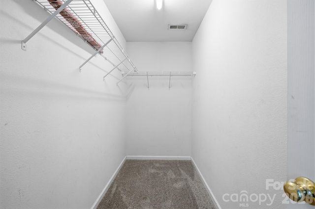 13316 Emerald Branch Lane, Charlotte, NC 28273