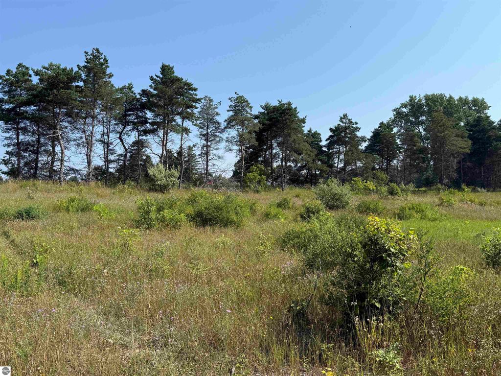 Image 3 of property listing at Parcel A1 E Kasson Road, Maple City, MI 49664