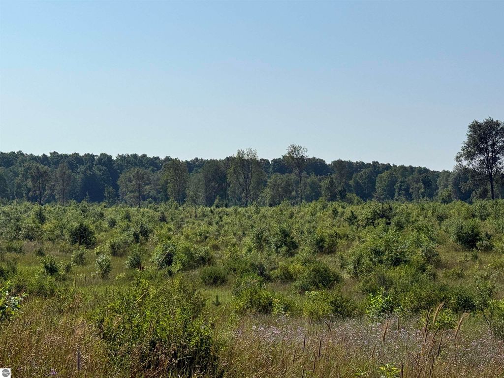 Image 5 of property listing at Parcel A1 E Kasson Road, Maple City, MI 49664