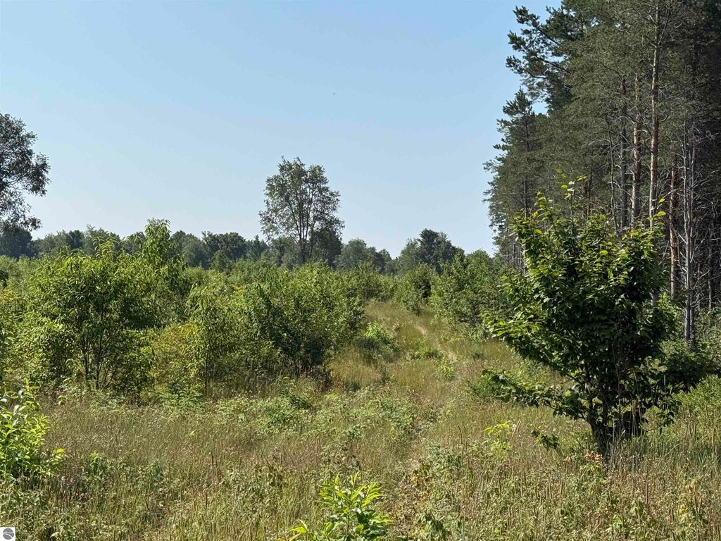 Image 6 of property listing at Parcel A1 E Kasson Road, Maple City, MI 49664