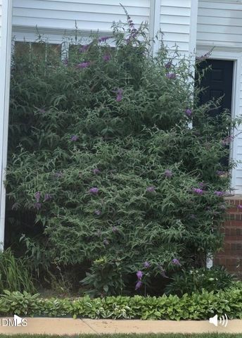 1011 Scotsburg Trail, Hillsborough, NC 27278