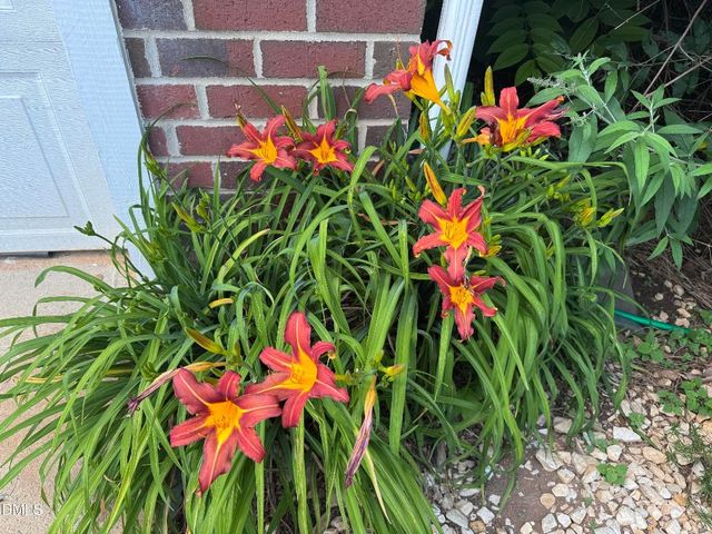 1011 Scotsburg Trail, Hillsborough, NC 27278