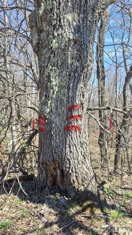 00 Big Ridge Road, Glenville, NC 28736