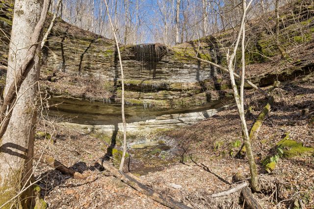 0 Hurricane Creek Road, Linden, TN 37096