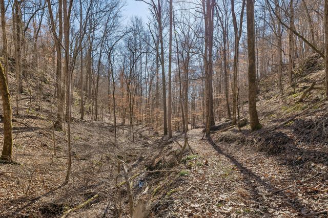 0 Hurricane Creek Road, Linden, TN 37096