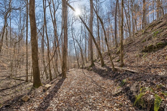 0 Hurricane Creek Road, Linden, TN 37096