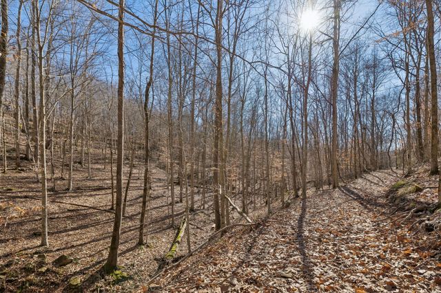 0 Hurricane Creek Road, Linden, TN 37096