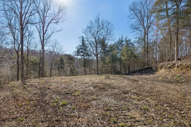 0 Hurricane Creek Road, Linden, TN 37096