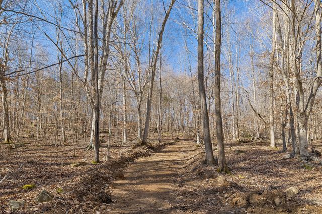 0 Hurricane Creek Road, Linden, TN 37096