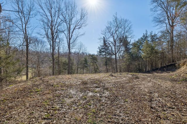 0 Hurricane Creek Road, Linden, TN 37096