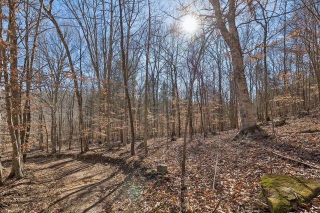 0 Hurricane Creek Road, Linden, TN 37096