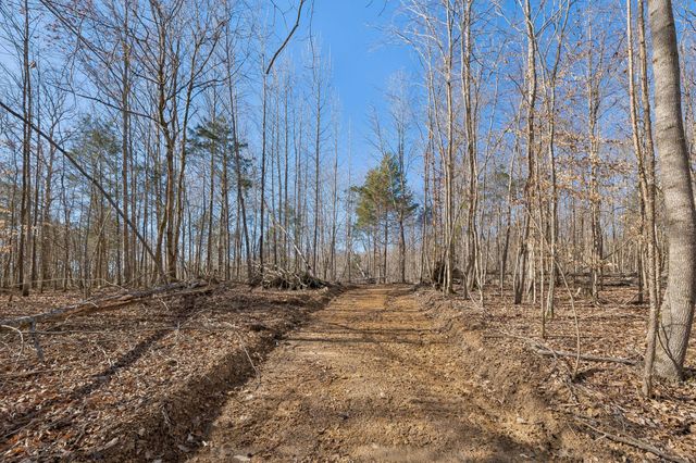 0 Hurricane Creek Road, Linden, TN 37096