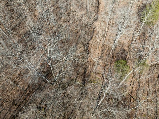 0 Hurricane Creek Road, Linden, TN 37096