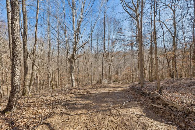 0 Hurricane Creek Road, Linden, TN 37096