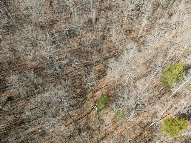 0 Hurricane Creek Road, Linden, TN 37096