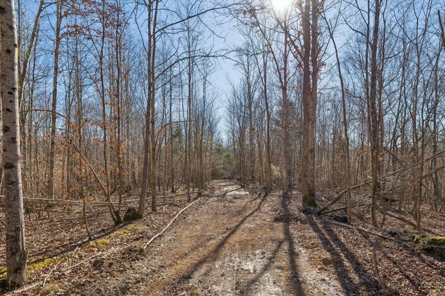 0 Hurricane Creek Road, Linden, TN 37096