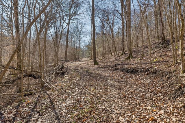 0 Hurricane Creek Road, Linden, TN 37096