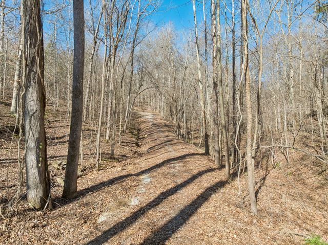 0 Hurricane Creek Road, Linden, TN 37096