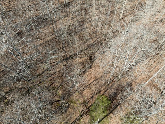 0 Hurricane Creek Road, Linden, TN 37096