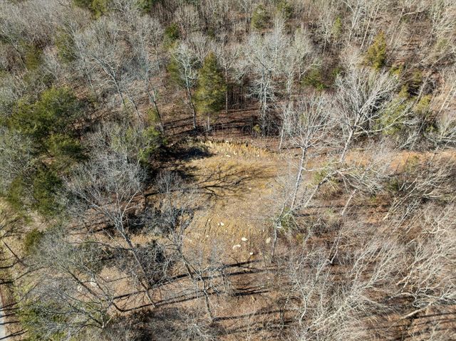 0 Hurricane Creek Road, Linden, TN 37096