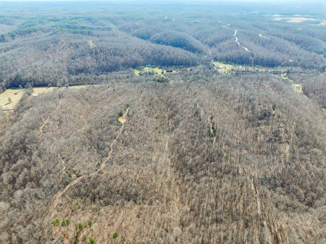 0 Hurricane Creek Road, Linden, TN 37096