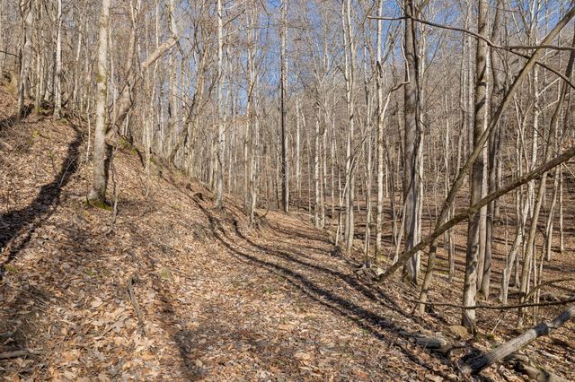 0 Hurricane Creek Road, Linden, TN 37096