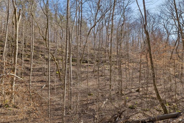 0 Hurricane Creek Road, Linden, TN 37096