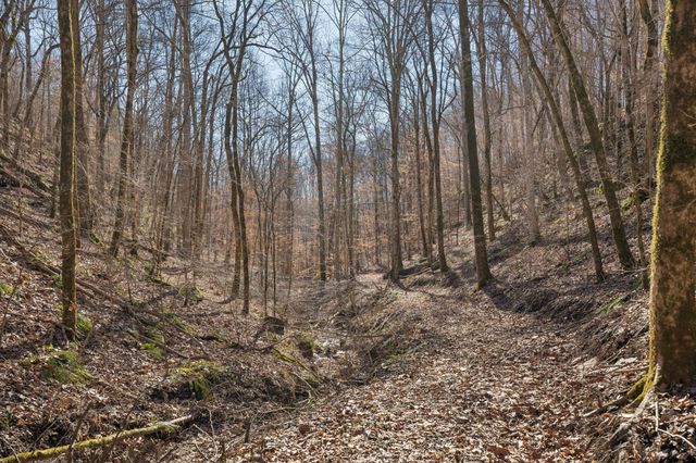 0 Hurricane Creek Road, Linden, TN 37096