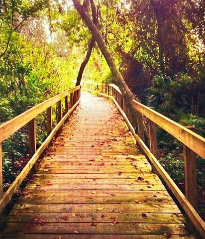 5825 HAWKWOOD COURT, Lithia, FL 33547