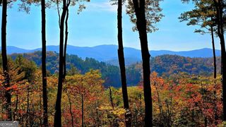 LOT 5 Gold Ridge Trail, Cherry Log, GA 30522