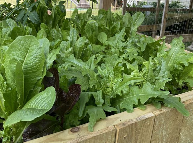 2208 Poe Road, Soddy Daisy, TN 37379