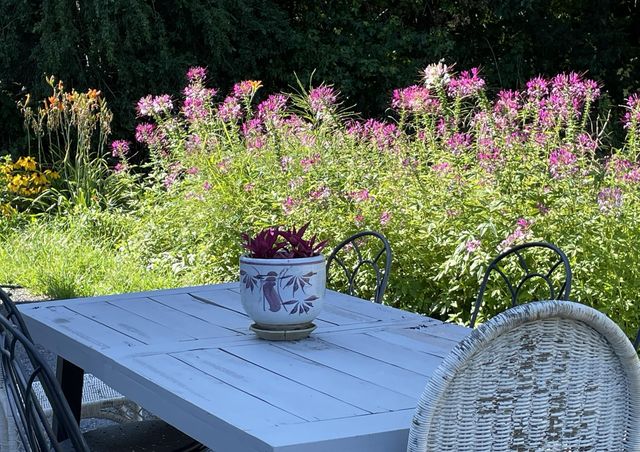 2208 Poe Road, Soddy Daisy, TN 37379