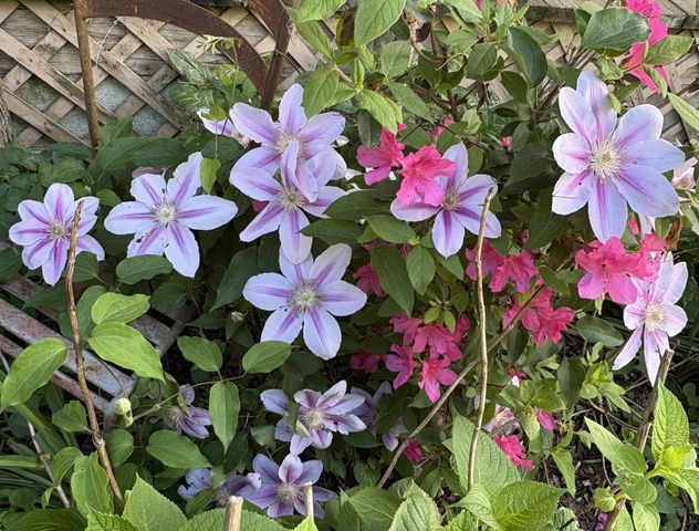 2208 Poe Road, Soddy Daisy, TN 37379