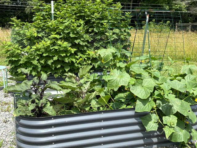 2208 Poe Road, Soddy Daisy, TN 37379